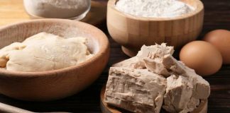 Chile estudia el potencial de hongos y levaduras para transformar la industria alimentaria