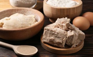 Chile estudia el potencial de hongos y levaduras para transformar la industria alimentaria