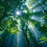 Chile presenta primera guía para integrar el capital natural en la gestión empresarial