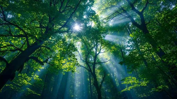 Chile presenta primera guía para integrar el capital natural en la gestión empresarial