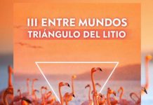 Chile realizará primera misión internacional por salares del Triángulo del Litio Chile realizará primera misión internacional por salares del Triángulo del Litio