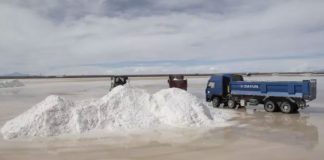 China Ganfeng Lithium pide entrar a Argentina por medio del RIGI con un nuevo millonario proyecto