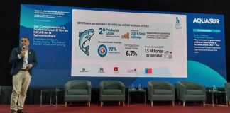 INCAR² redefine la salmonicultura y prepara Congreso SRS 2026 en Chile