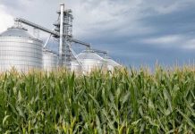 EE.U.U. Los átomos cuidadosamente controlados hacen que las energías renovables sean más viables para la producción de plásticos y combustibles