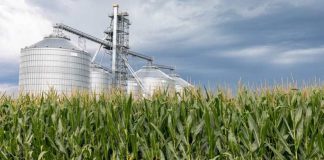 EE.U.U. Los átomos cuidadosamente controlados hacen que las energías renovables sean más viables para la producción de plásticos y combustibles