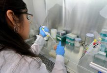 Estudio de Corfo e Icare revela cómo la I+D e innovación impulsan la productividad y competitividad en las empresas chilenas