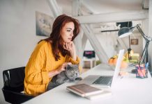 Experian Data positiva