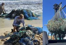 Hawái | La Universidad de Hawái recupera 84 toneladas de aparejos de pesca abandonados de una isla de basura del Océano Pacífico La Universidad de Hawái recupera 84 toneladas de aparejos de pesca abandonados de una isla de basura del Océano Pacífico
