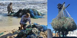 Hawái | La Universidad de Hawái recupera 84 toneladas de aparejos de pesca abandonados de una isla de basura del Océano Pacífico La Universidad de Hawái recupera 84 toneladas de aparejos de pesca abandonados de una isla de basura del Océano Pacífico