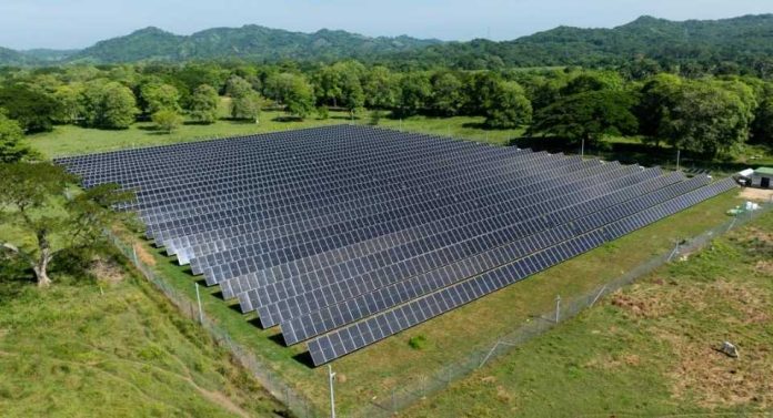 Minigranjas solares crecen en Colombia y aceleran la generación distribuida Minigranjas solares crecen en Colombia y aceleran la generación distribuida
