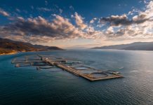 Nicolás Goncalves de Entel Digital: “Chile necesita avanzar hacia la acuicultura 4.0”