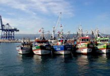 Subpesca informa sobre el inicio del cobro de la Patente Única Pesquera 2026