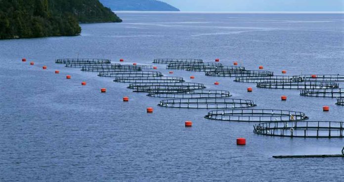 ProChile invita al seminario: “Oportunidades y tendencias en acuicultura en los mercados internacionales”