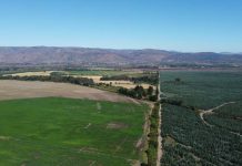 Proyecto Parque Eólico Fénix de EDF power solutions obtiene aprobación ambiental