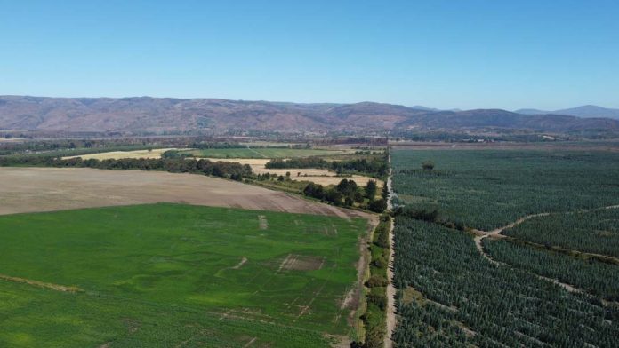 Proyecto Parque Eólico Fénix de EDF power solutions obtiene aprobación ambiental