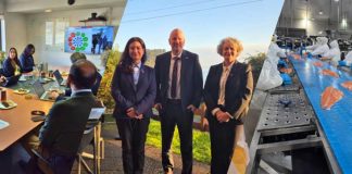 Sernapesca recibe a comitivas de Noruega y Estados Unidos para el fortalecimiento de alianzas