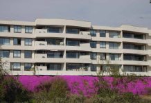 Suspensión del IVA: ¿Bajará el precio de las viviendas?