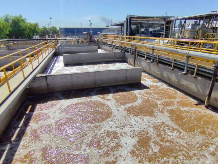 Tecnología de circularidad permite reutilizar hasta el 70% del recurso hídrico en proceso productivo de alimentos Tecnología de circularidad permite reutilizar hasta el 70% del recurso hídrico en proceso productivo de alimentos