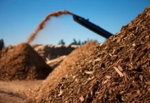 México | Todos los colegios públicos de Guadalajara logran la calificación energética A gracias a la biomasa