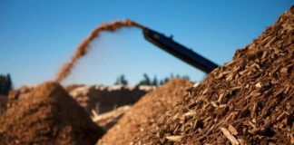 México | Todos los colegios públicos de Guadalajara logran la calificación energética A gracias a la biomasa