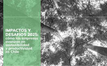 Acuerdos de Producción Limpia: US$172 millones en ahorros para las empresas y alto retorno social posicionan la sostenibilidad como motor de productividad