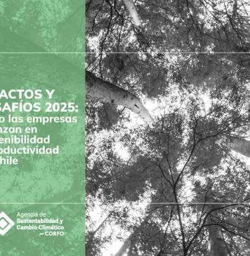 Acuerdos de Producción Limpia: US$172 millones en ahorros para las empresas y alto retorno social posicionan la sostenibilidad como motor de productividad