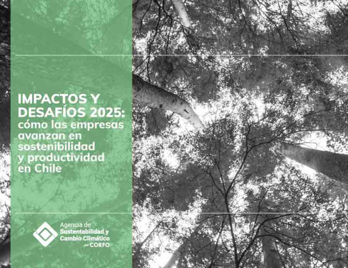 Acuerdos de Producción Limpia: US$172 millones en ahorros para las empresas y alto retorno social posicionan la sostenibilidad como motor de productividad