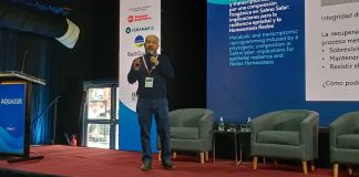 Investigación colaborativa impulsa alternativa natural para fortalecer la salud del salmón del Atlántico Investigación colaborativa impulsa alternativa natural para fortalecer la salud del salmón del Atlántico