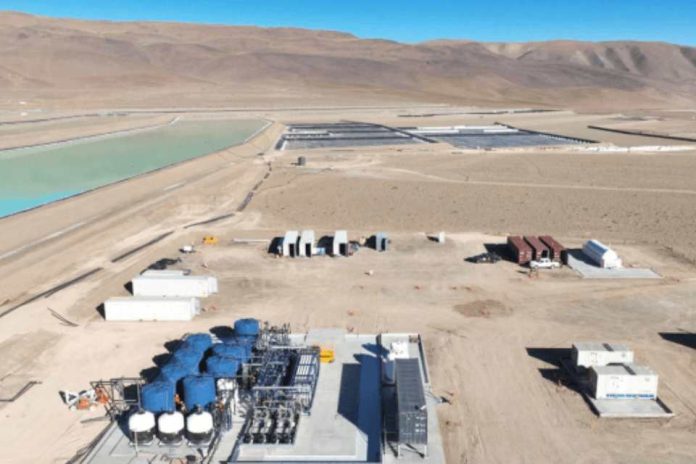 Australia Galán se acerca al club de productores mientras Hombre Muerto West supera un obstáculo clave Australia Galán se acerca al club de productores mientras Hombre Muerto West supera un obstáculo clave