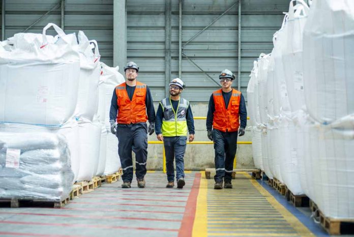 Automatización e inteligencia artificial como factores clave de la eficiencia y trazabilidad en la industria del salmón