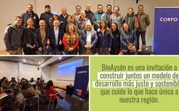 Aysén: Corfo impulsa BioAysén y posiciona a la región en economía basada en la naturaleza