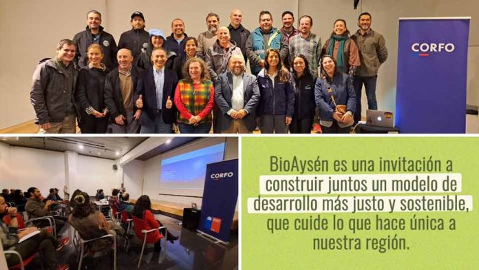 Aysén: Corfo impulsa BioAysén y posiciona a la región en economía basada en la naturaleza