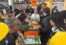 Bticino presenta lo último en soluciones digitales para “casa inteligente“