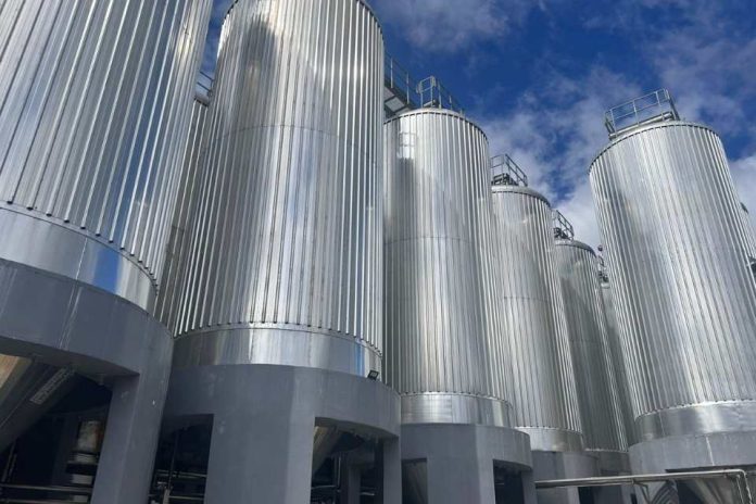 Cervecería Kunstmann y su modelo hídrico sin precedentes devuelve el agua al río más limpia de la que toma