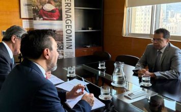 Chile y Brasil estrechan lazos para elevar los estándares de seguridad y fiscalización en la minería