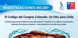 Científicos descifran el genoma del Congrio Colorado