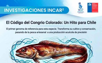 Científicos descifran el genoma del Congrio Colorado