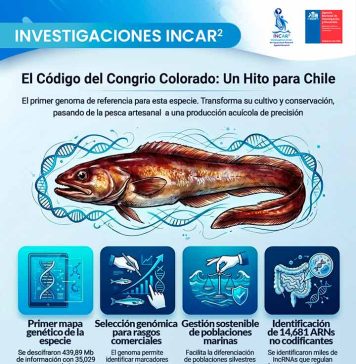 Científicos descifran el genoma del Congrio Colorado