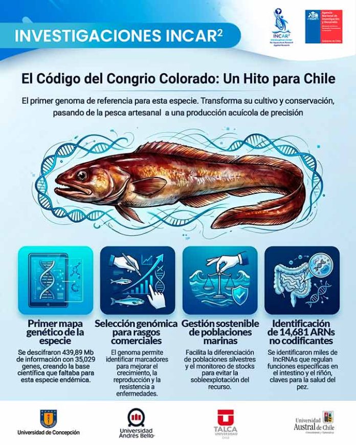 Científicos descifran el genoma del Congrio Colorado