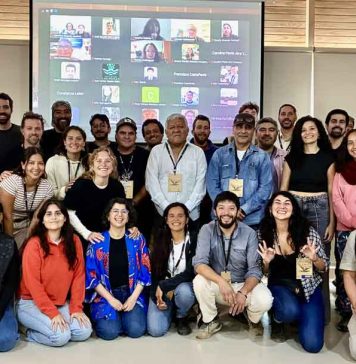 Científicos iberoamericanos se reunieron en Chile para mapear bosques submarinos