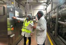 Cinco gremios industriales piden a ministra de Energía acotar el periodo de hora punta para reducir uso de diésel