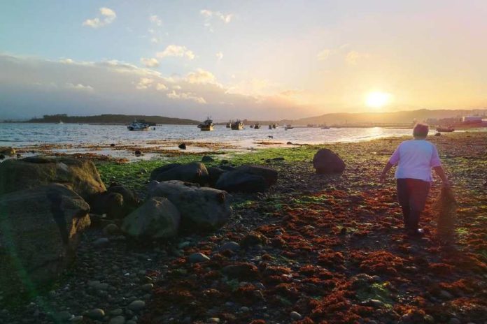 Desde Chile líderes de pueblos originarios costeros llegan a the Global Seafood Marketplace con propuestas de sostenibilidad marina