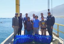 Desde el territorio UCN lidera modelo acuícola con enfoque social en el norte grande