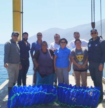 Desde el territorio: UCN lidera modelo acuícola con enfoque social en el norte grande Desde el territorio UCN lidera modelo acuícola con enfoque social en el norte grande