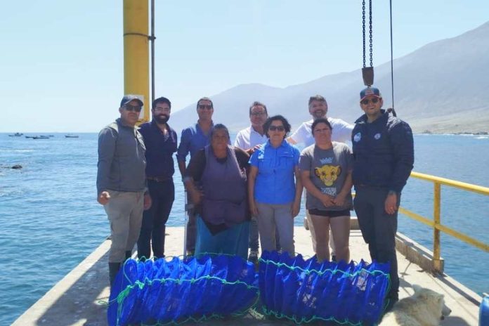 Desde el territorio UCN lidera modelo acuícola con enfoque social en el norte grande Desde el territorio UCN lidera modelo acuícola con enfoque social en el norte grande