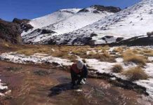 Día de la Tierra: Hidrogeología de precisión al rescate de suelos contaminados Día de la Tierra: Hidrogeología de precisión al rescate de suelos contaminados