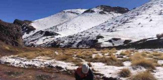 Día de la Tierra: Hidrogeología de precisión al rescate de suelos contaminados Día de la Tierra: Hidrogeología de precisión al rescate de suelos contaminados