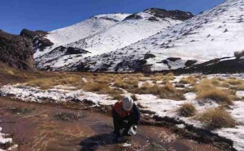 Día de la Tierra: Hidrogeología de precisión al rescate de suelos contaminados Día de la Tierra: Hidrogeología de precisión al rescate de suelos contaminados