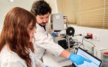 Doctorado en Minería abre convocatoria a becas GORE de investigación en minerales críticos