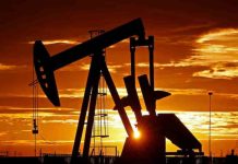 Emiratos Árabes Unidos abandona la OPEP, lo que supone un duro golpe para el grupo mundial de productores de petróleo